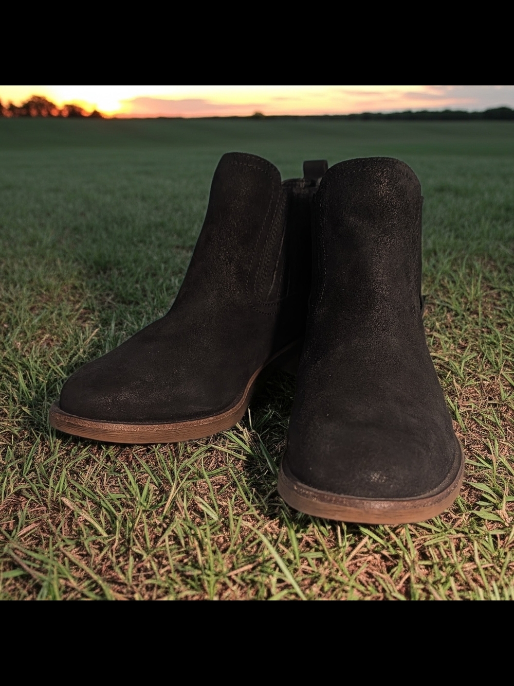 Sofft Bellis III Women's Black Suede Aquasofft Chelsea Ankle Boots Size 8.5